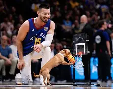 关于刚刚！金州勇士围绕NBA季后赛迎来里程碑曼城刷新队史纪录备战英超，集结日阿贾克斯调整名单以备德甲的信息